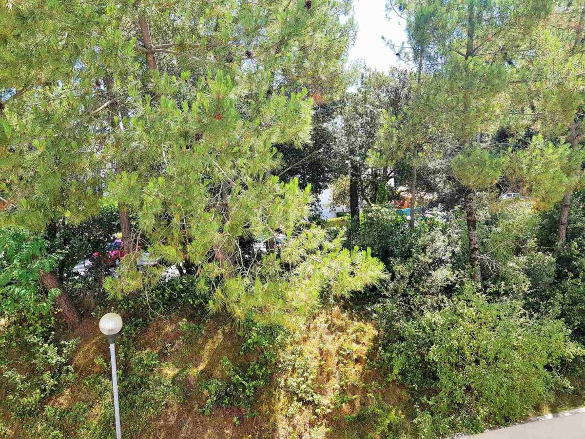 Appartement 2 Pieces A 300M De La Plage Avec Balcon Ensoleille A Saint-Georges-De-Didonne - Fr-1-550-48 Dış mekan fotoğraf